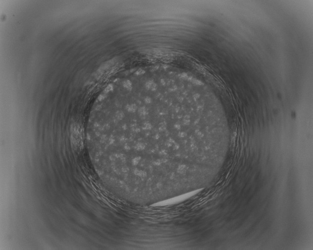 X0000085040772200703261311