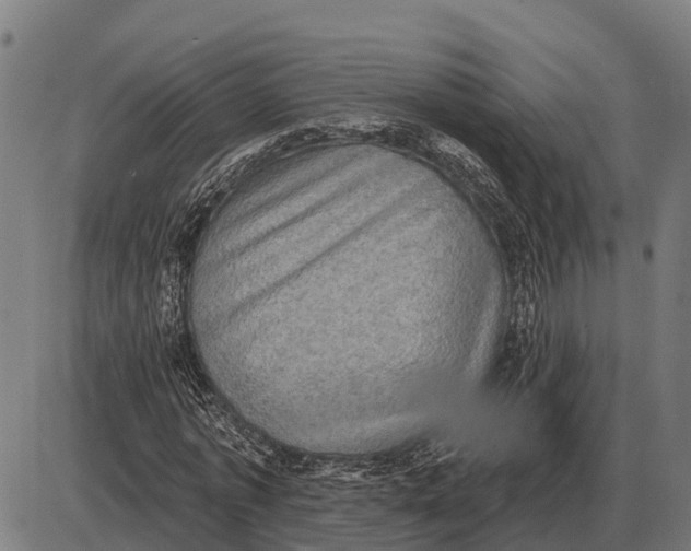 X0000085040773200703261311