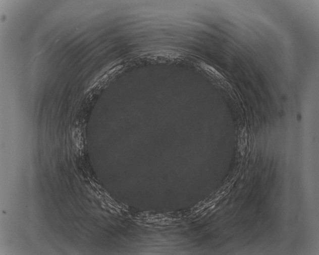 X0000085040774200703261311