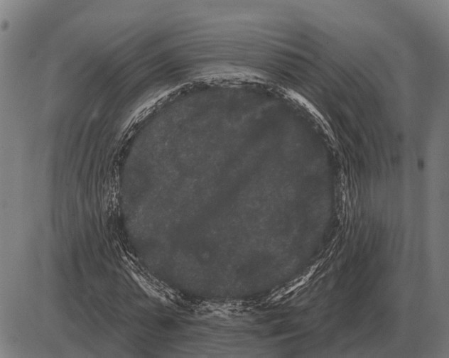 X0000085040775200703261311