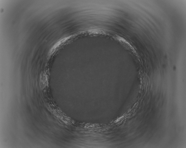 X0000085040776200703261311