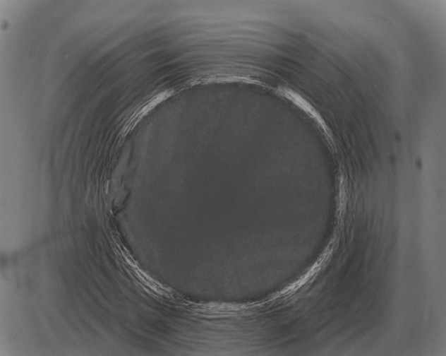 X0000085040777200703261311