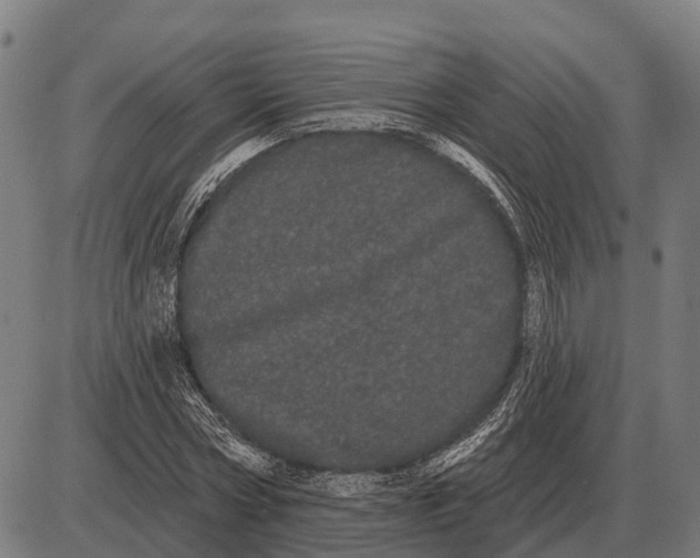 X0000085040778200703261311