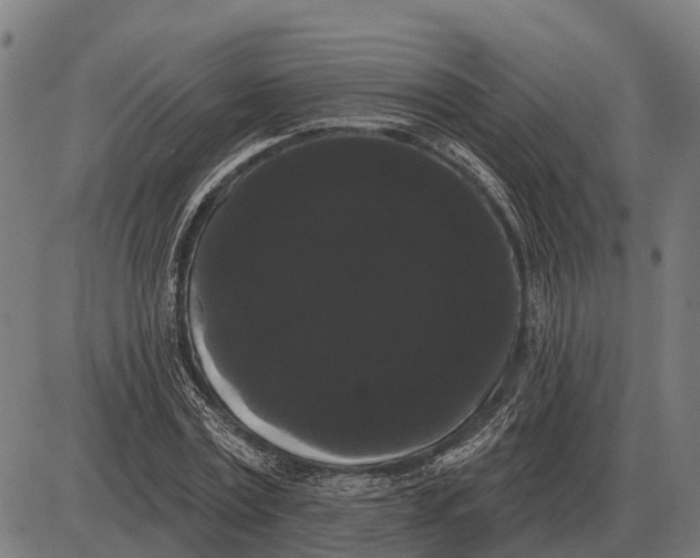 X0000085040779200703261311