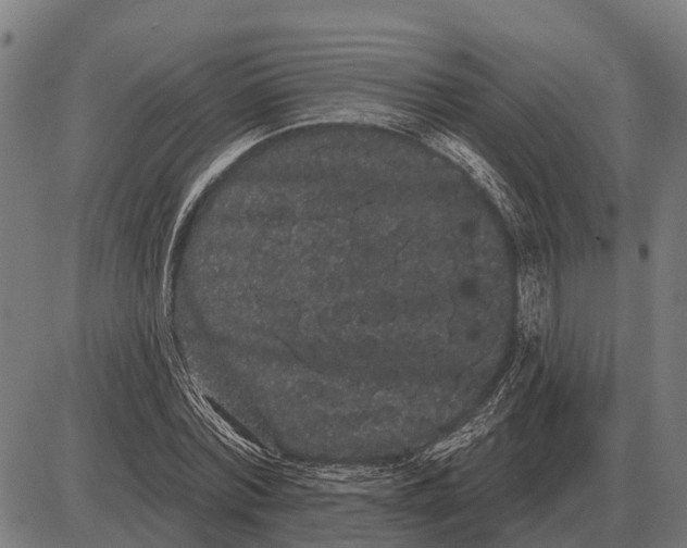 X0000085040780200703261311