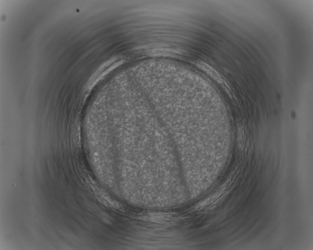 X0000085040782200703261311