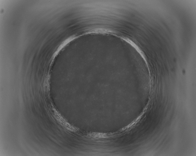 X0000085040783200703261311