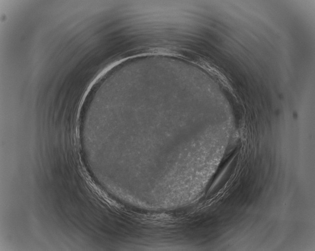 X0000085040784200703261311