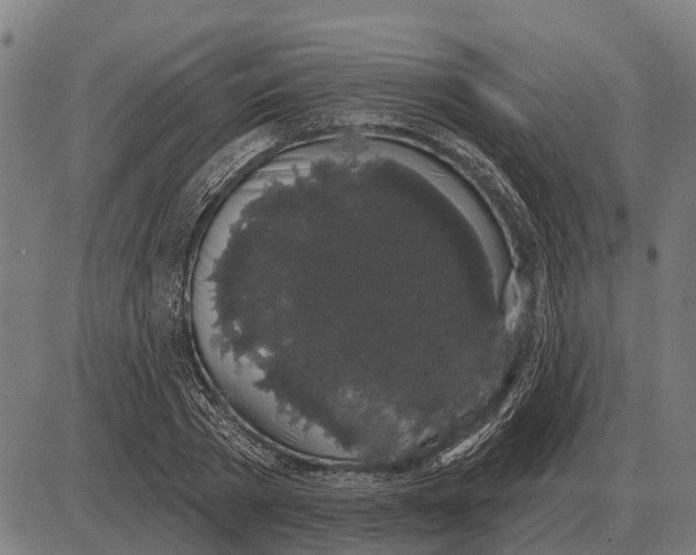 X0000085040785200703261311