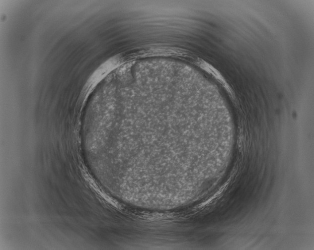 X0000085040786200703261311