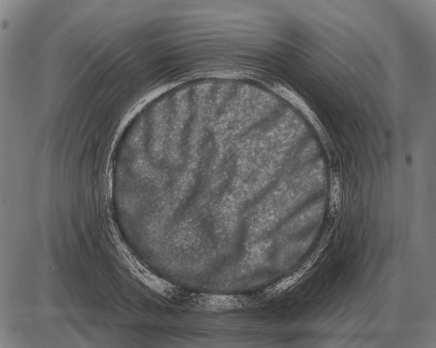 X0000085040787200703261311