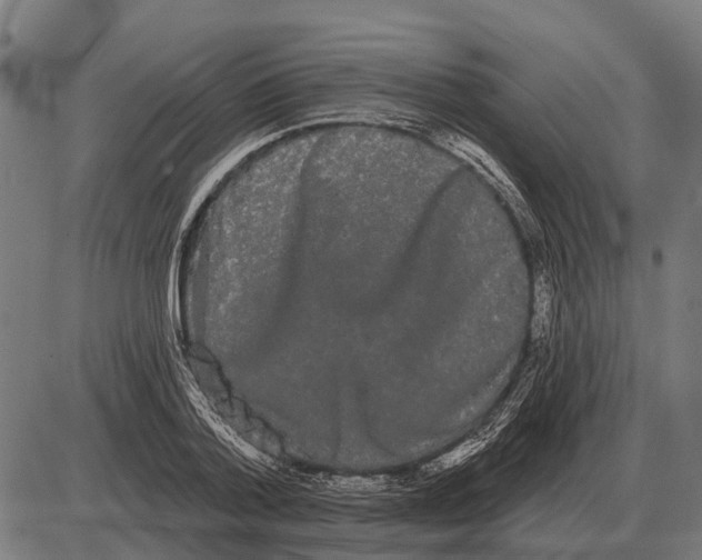 X0000085040788200703261311