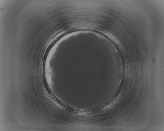 X0000085040790200703261311