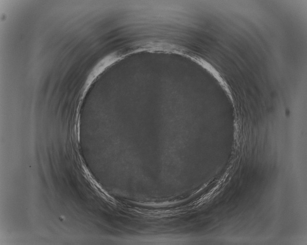 X0000085040791200703261311