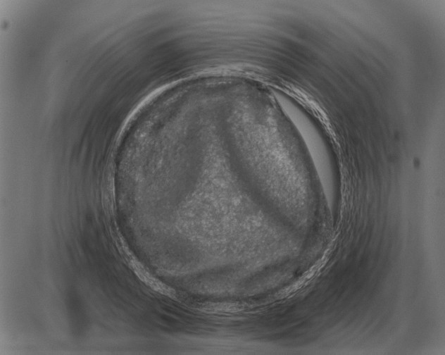 X0000085040792200703261311