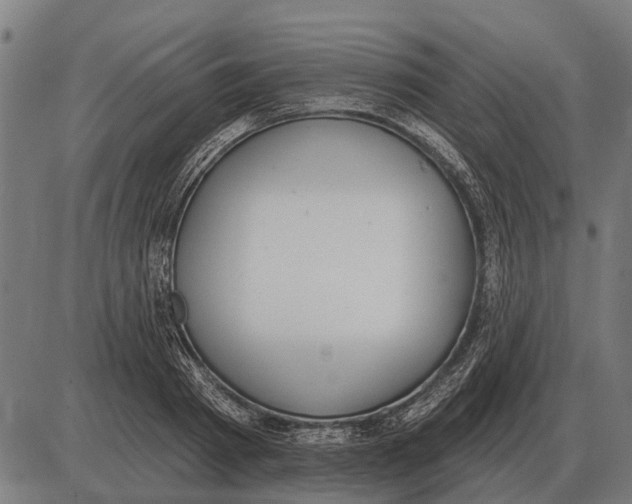 X0000085040793200703261311