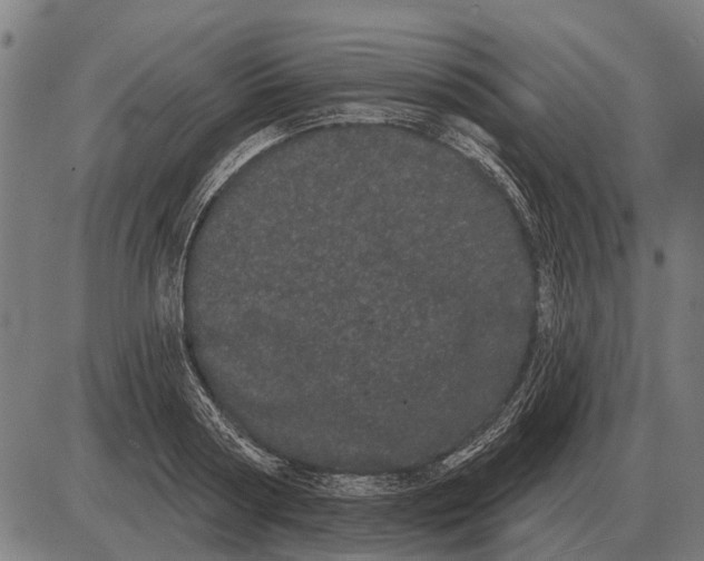 X0000085040794200703261310