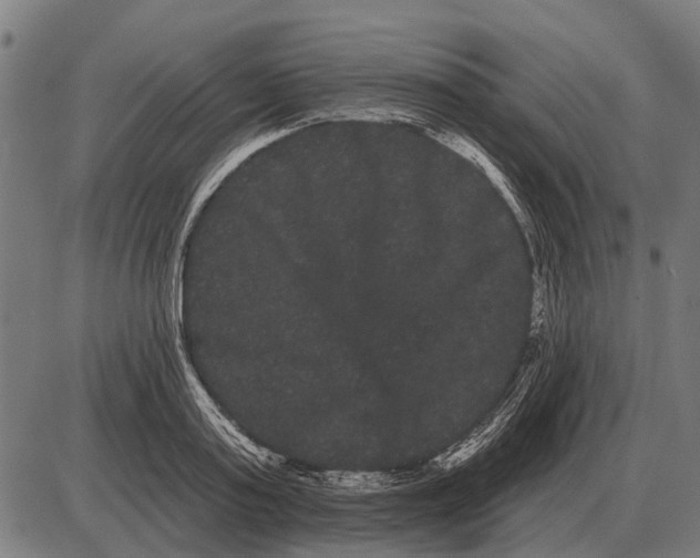 X0000085040795200703261310