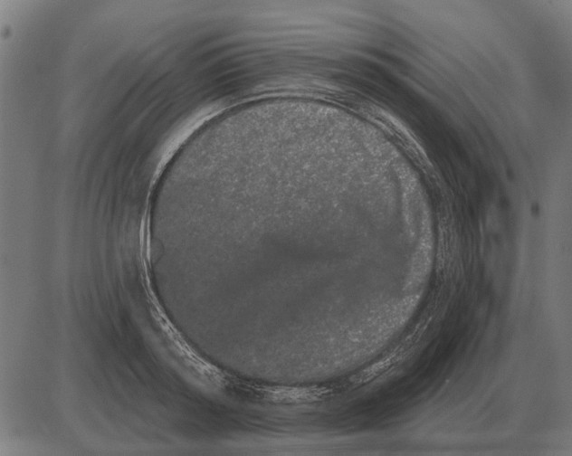 X0000085040796200703261310