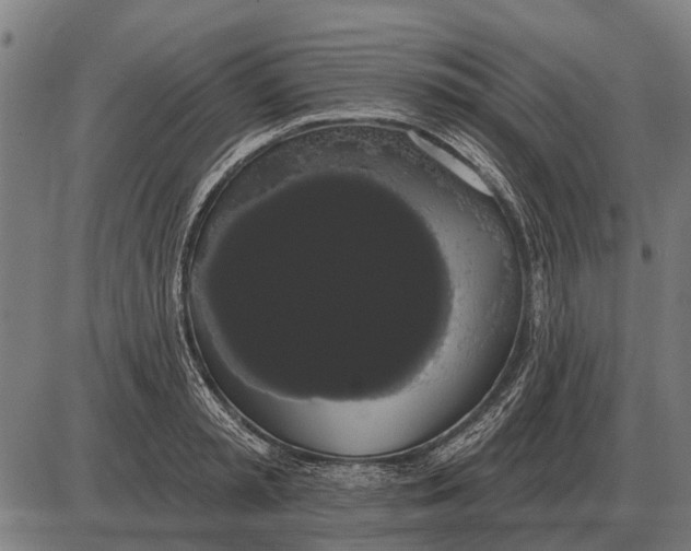 X0000085040797200703261310