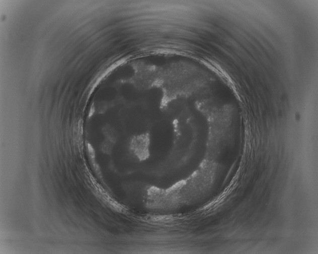 X0000085040798200703261310