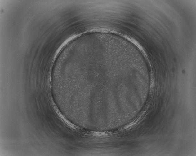 X0000085040799200703261310