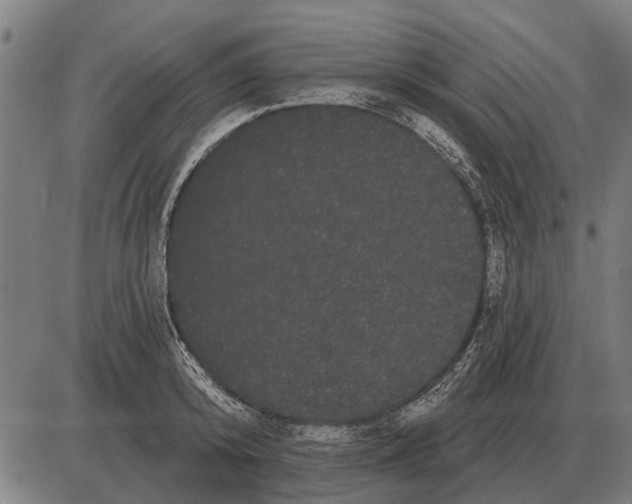 X0000085040800200703261310