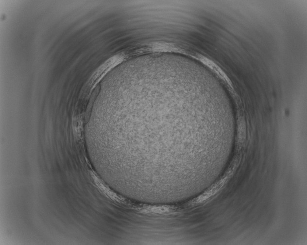 X0000085040801200703261310