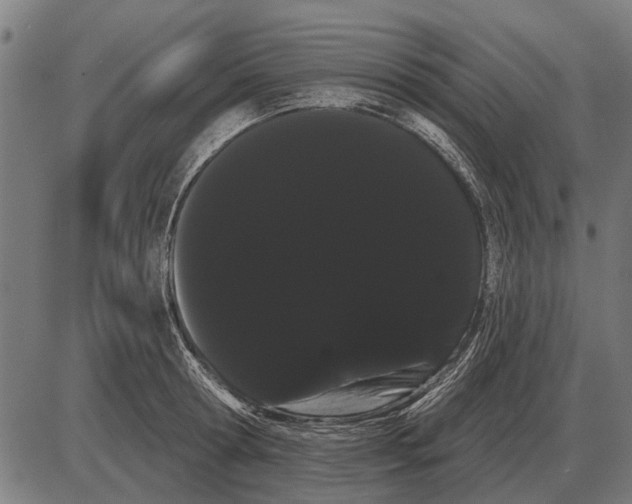 X0000085040802200703261310