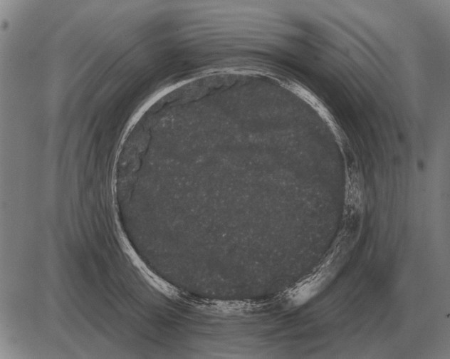 X0000085040803200703261310