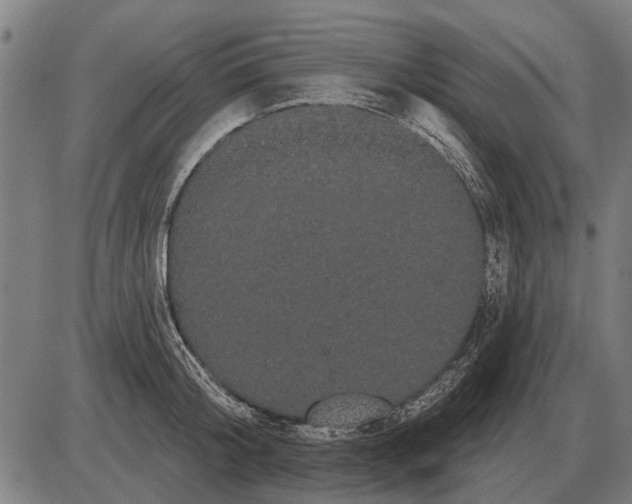 X0000085040804200703261310