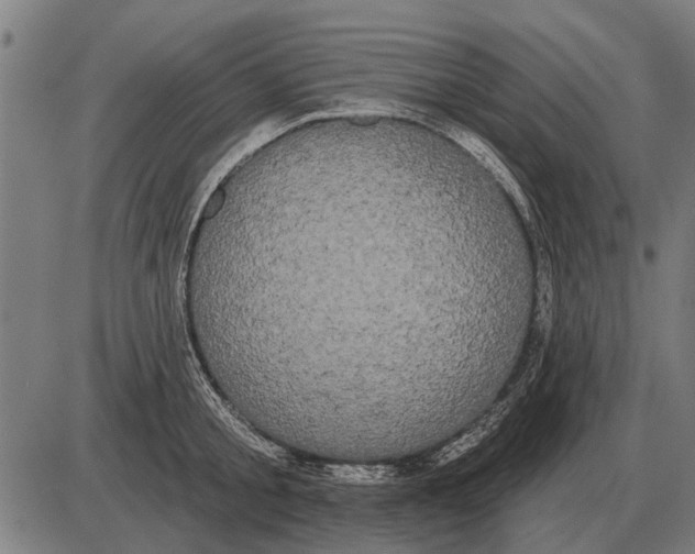 X0000085040805200703261310