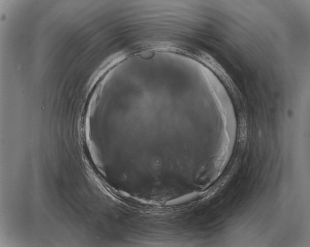 X0000085040806200703261310