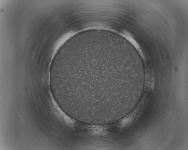 X0000085040807200703261310