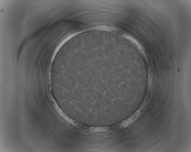 X0000085040808200703261310