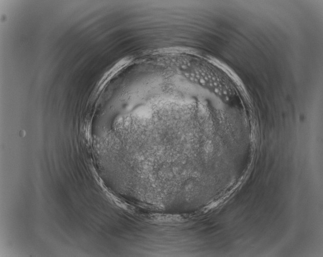 X0000085040809200703261310