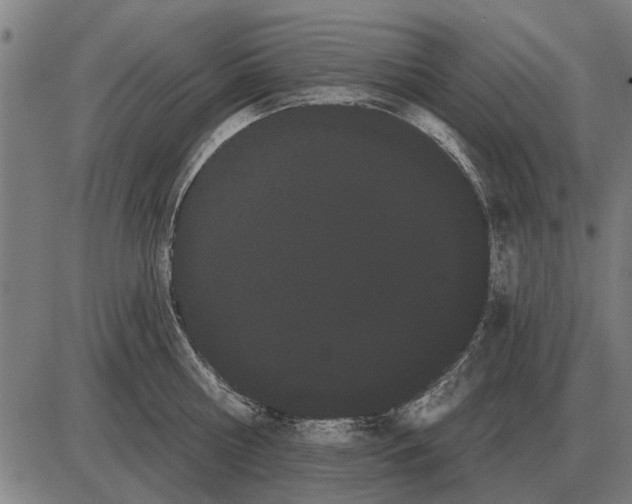 X0000085040810200703261310