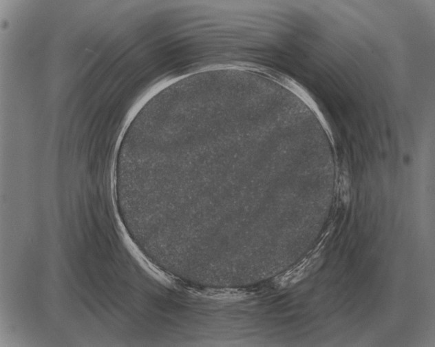 X0000085040811200703261310