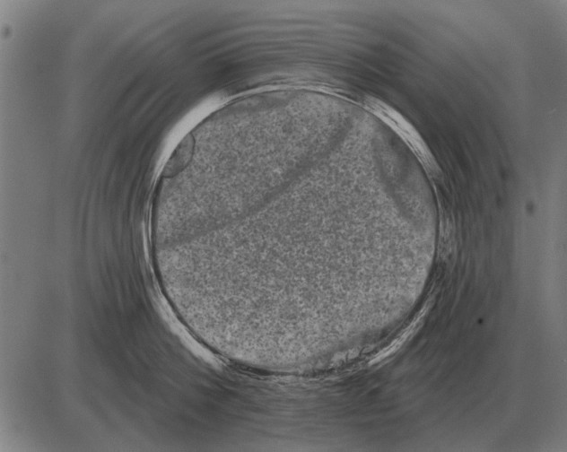 X0000085040812200703261310