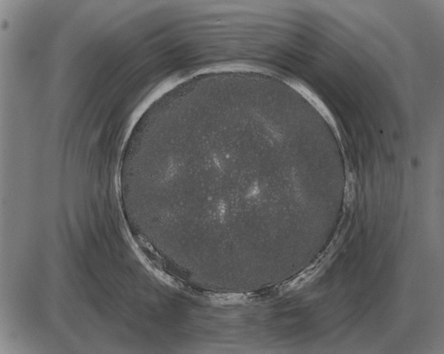 X0000085040813200703261310