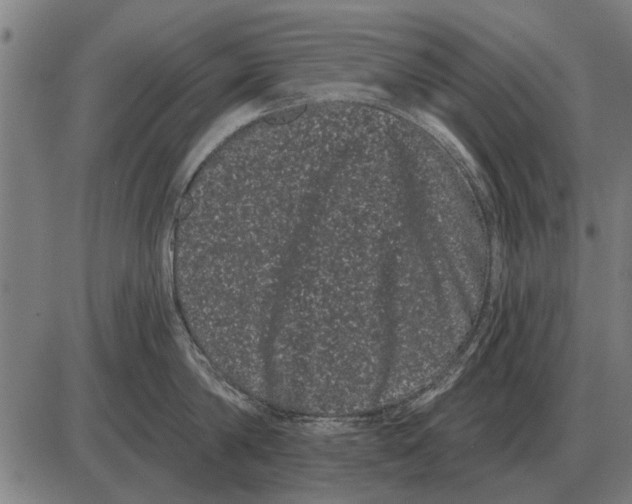 X0000085040814200703261310