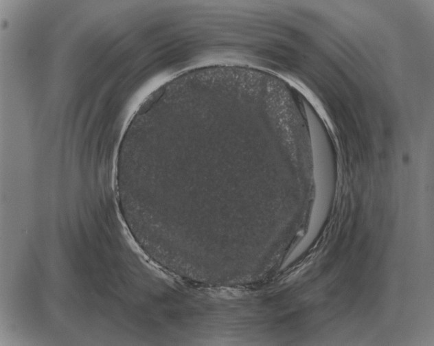 X0000085040815200703261310