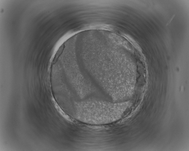 X0000085040816200703261310