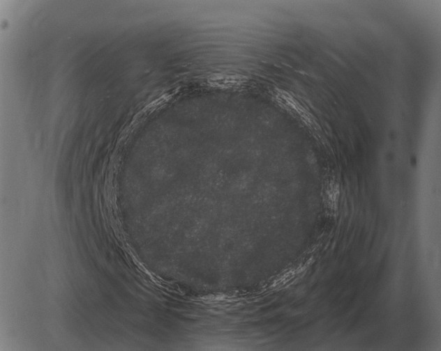 X0000085040817200703261309