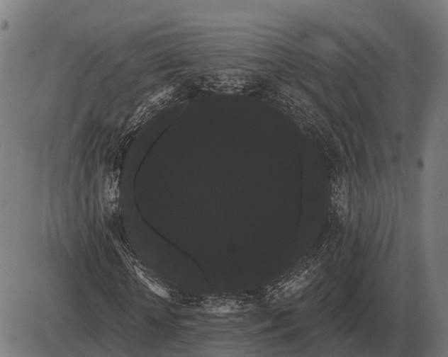 X0000085040818200703261309