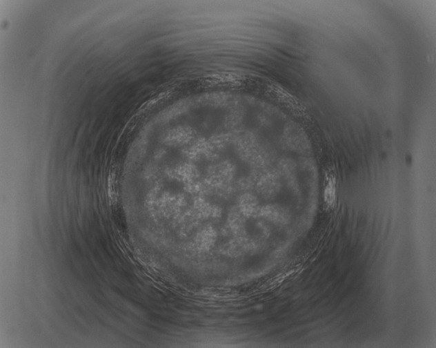 X0000085040819200703261309