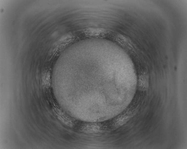 X0000085040820200703261309