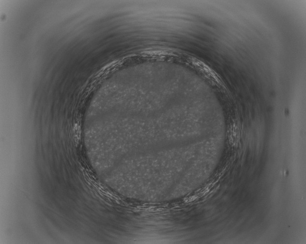 X0000085040821200703261309