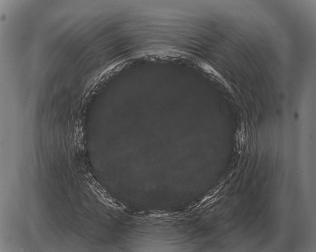 X0000085040822200703261309