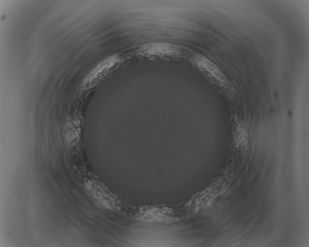 X0000085040824200703261309